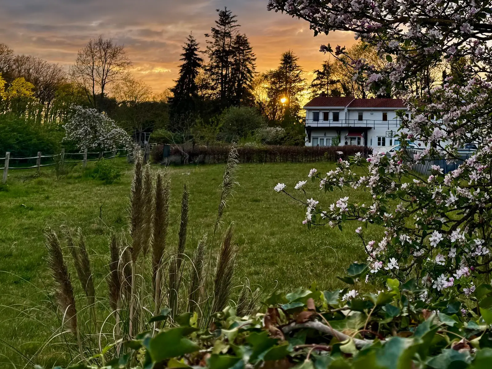 Zonsondergang tussen de bomen op Landgoed De Meerberg