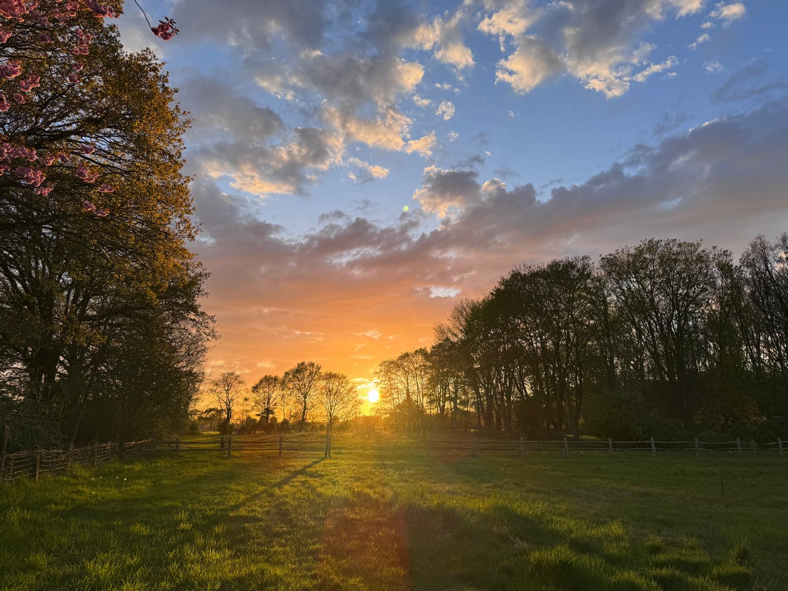 Zonsondergang op het landgoed